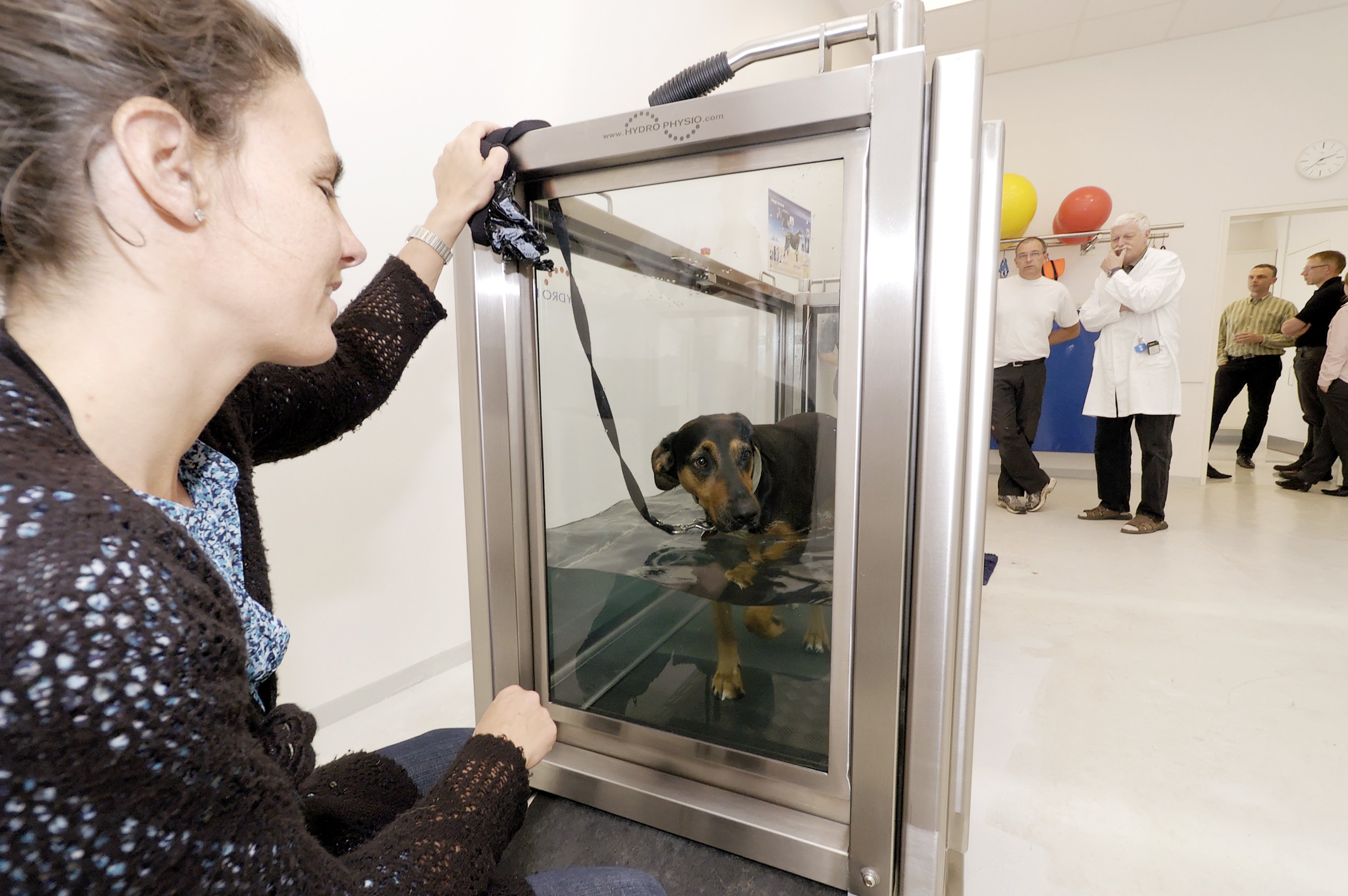 Opening day at the rehabilitation centre: Guests and staff are shown a demonstration of a pet in a water tank