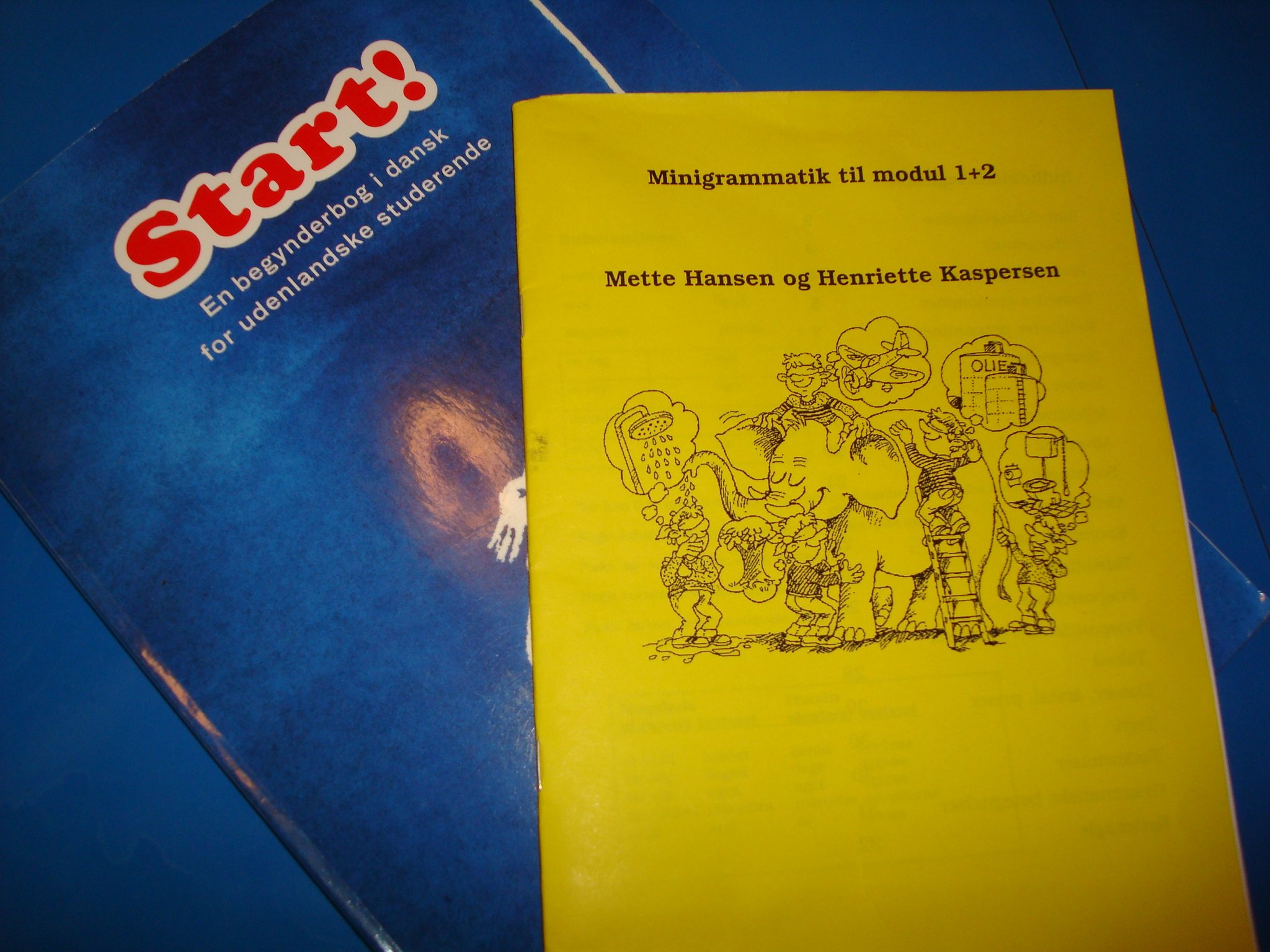 Books for Danish language classes