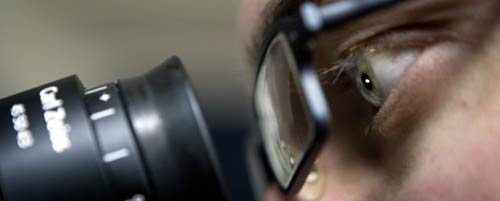 Researchers at the Nano-Science centre shed new light on protein signalling