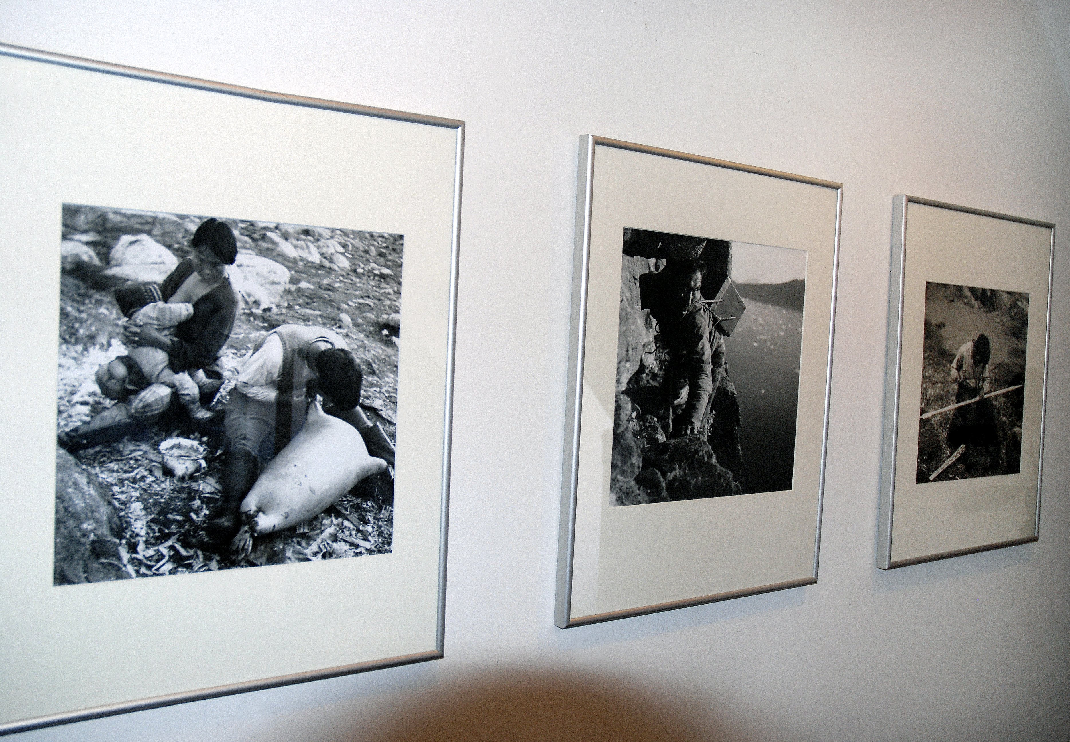 HVALSLAGTERE - Fotos på Institut for Eskimologi og Arktiske Studier, som deler hus med det truede Polarbibliotek.