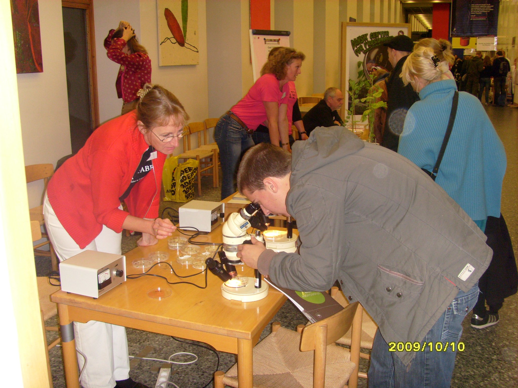 Life Science culture night a success, says lab technician Hanne Nielsen (centre, pink t-shirt, leaning forward on table)