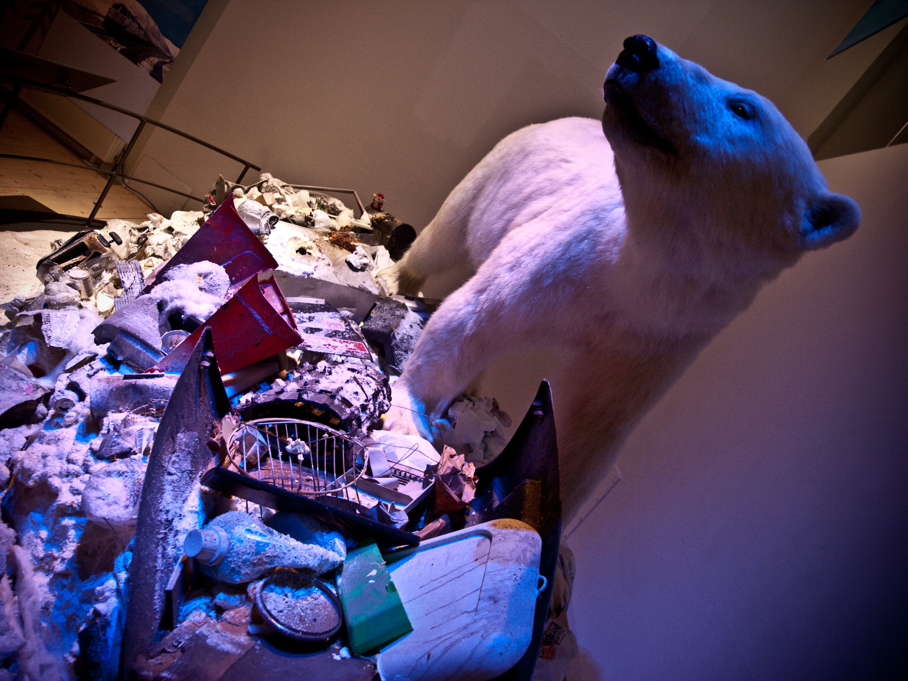 IDYLTAB - Isbjørnen, som sandsynligvis er en af klodens yngste arter blandt pattedyrene, risikerer at opholdet på planeten bliver forkortet af menneskeheden.