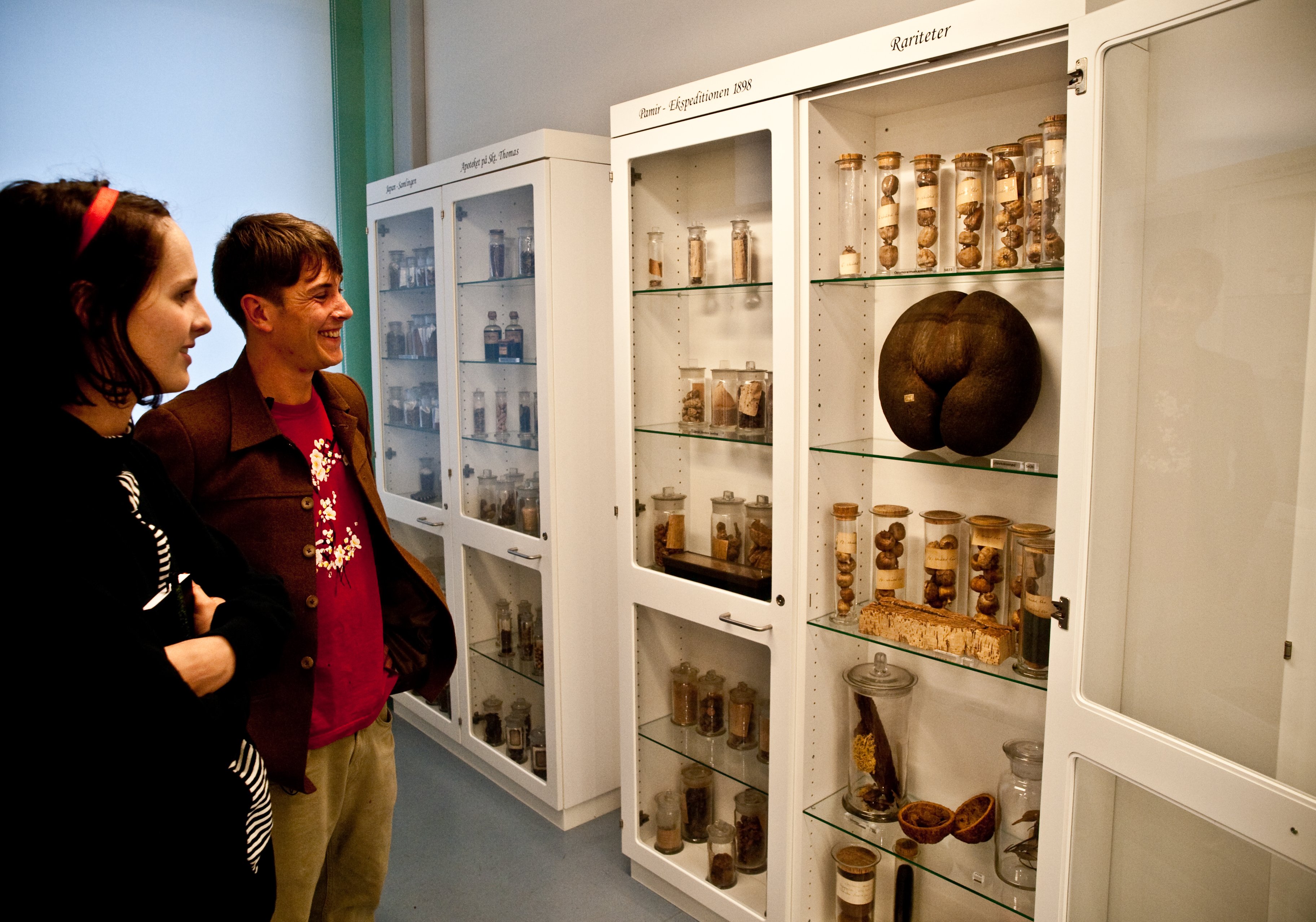 RARITET - Hvad er det? Må den virkelig være der? Ja. Farma åbner naturmedicinsk museum 2. oktober. Se rariteterne og dyrk urterne - den prikbladede perikon skulle være et hit.