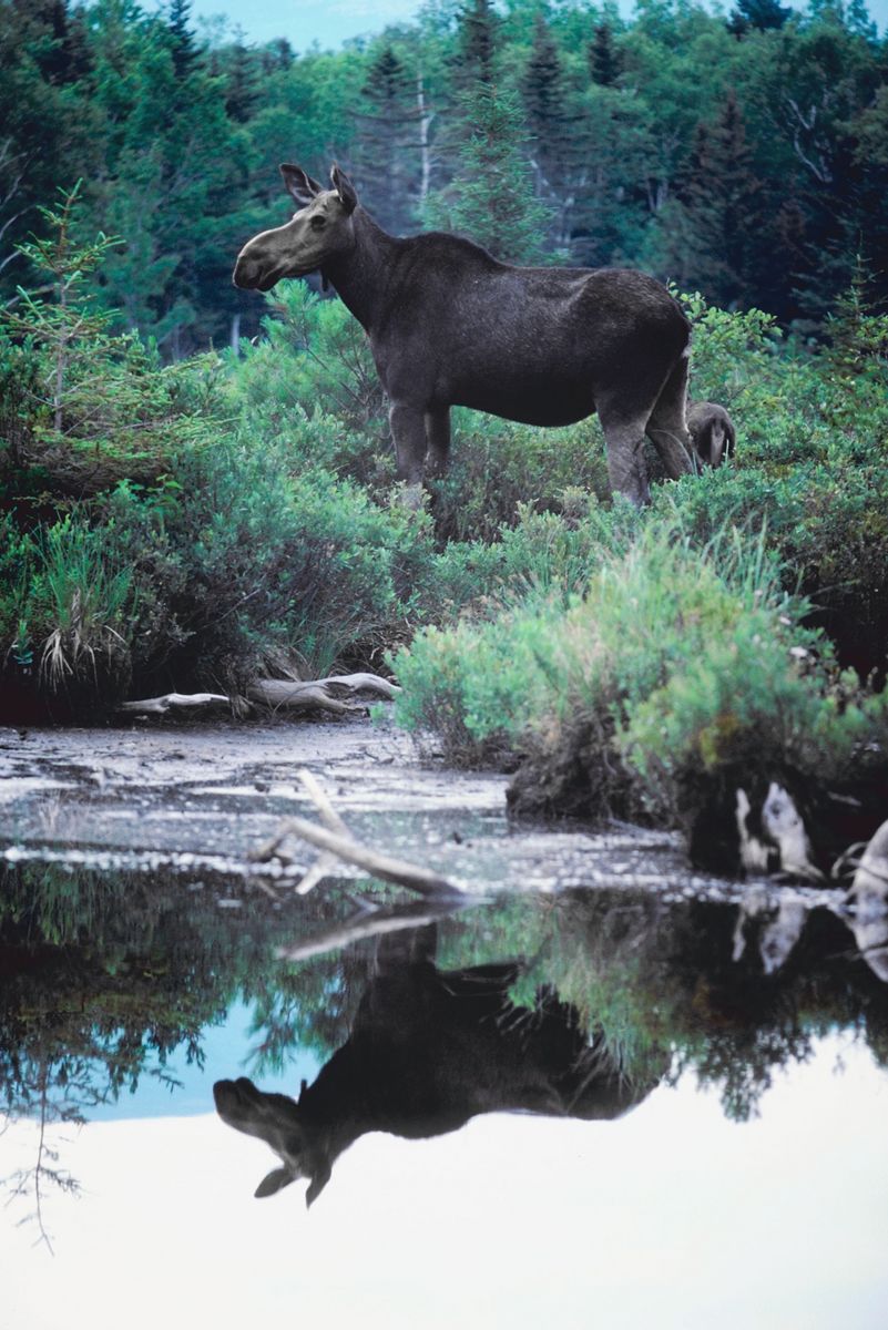 NORDEN - Danske og svenske studerende lagde råd op på Life en råkold lørdag. Vi bringer en beretning.