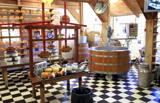 Food processing looks nice when it is shown like this