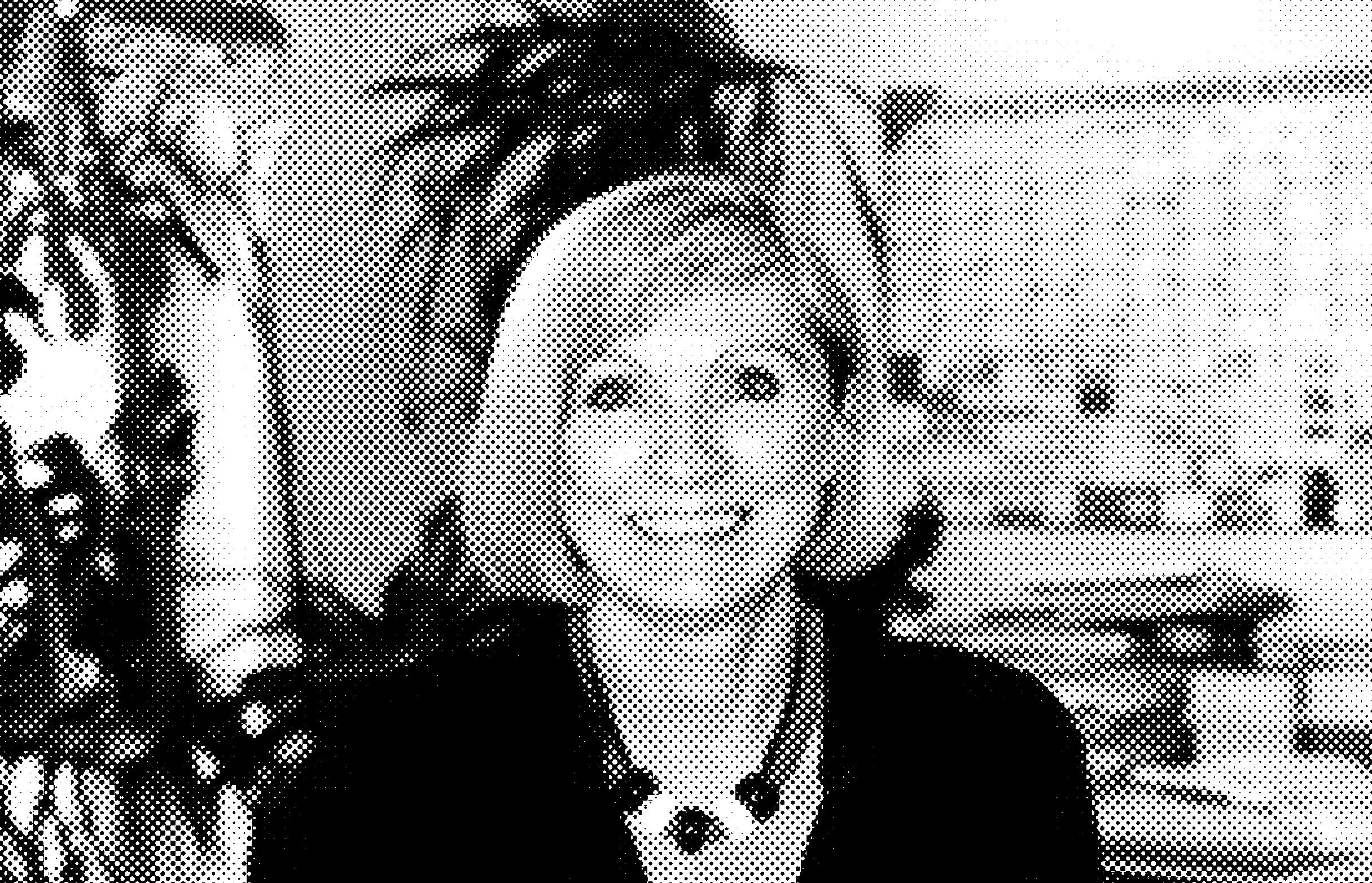 POLITICAL THEORIST - Chantal Mouffe is in Copenhagen to talk Europe.