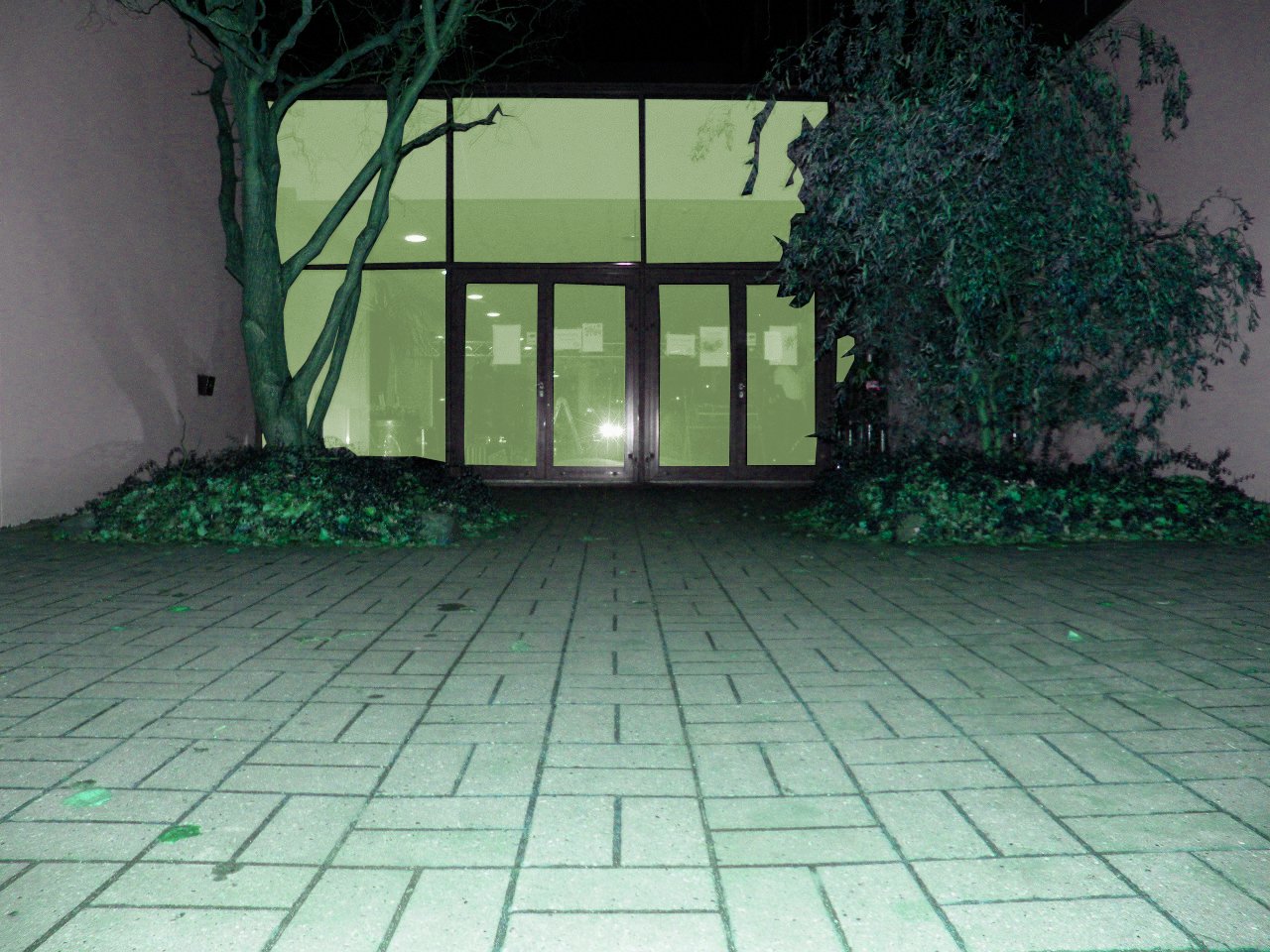 Der var hjernekamp på LIFE til årets 'Hjerne for en aften 2009'.