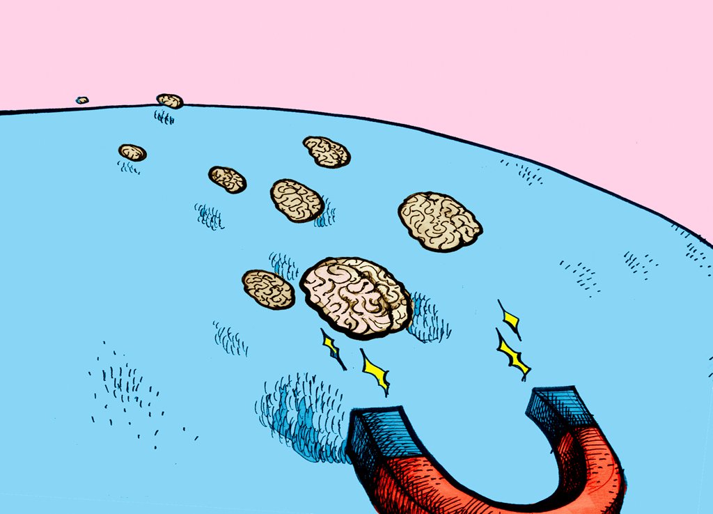 BRAIN MAGNET - Denmark wants to attract brain cells from across the world, and the University of Copenhagen wants to be able to offer them a nice student environment.