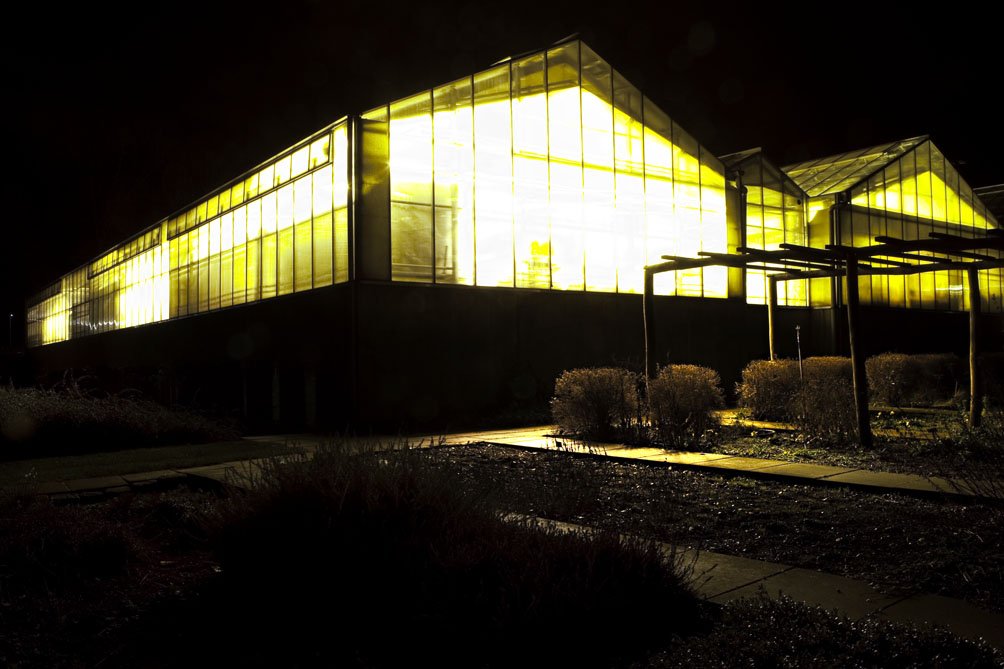 What goes on behind the fluorescent-looking glass panes of the Faculty of Life Sciences' greenhouses?