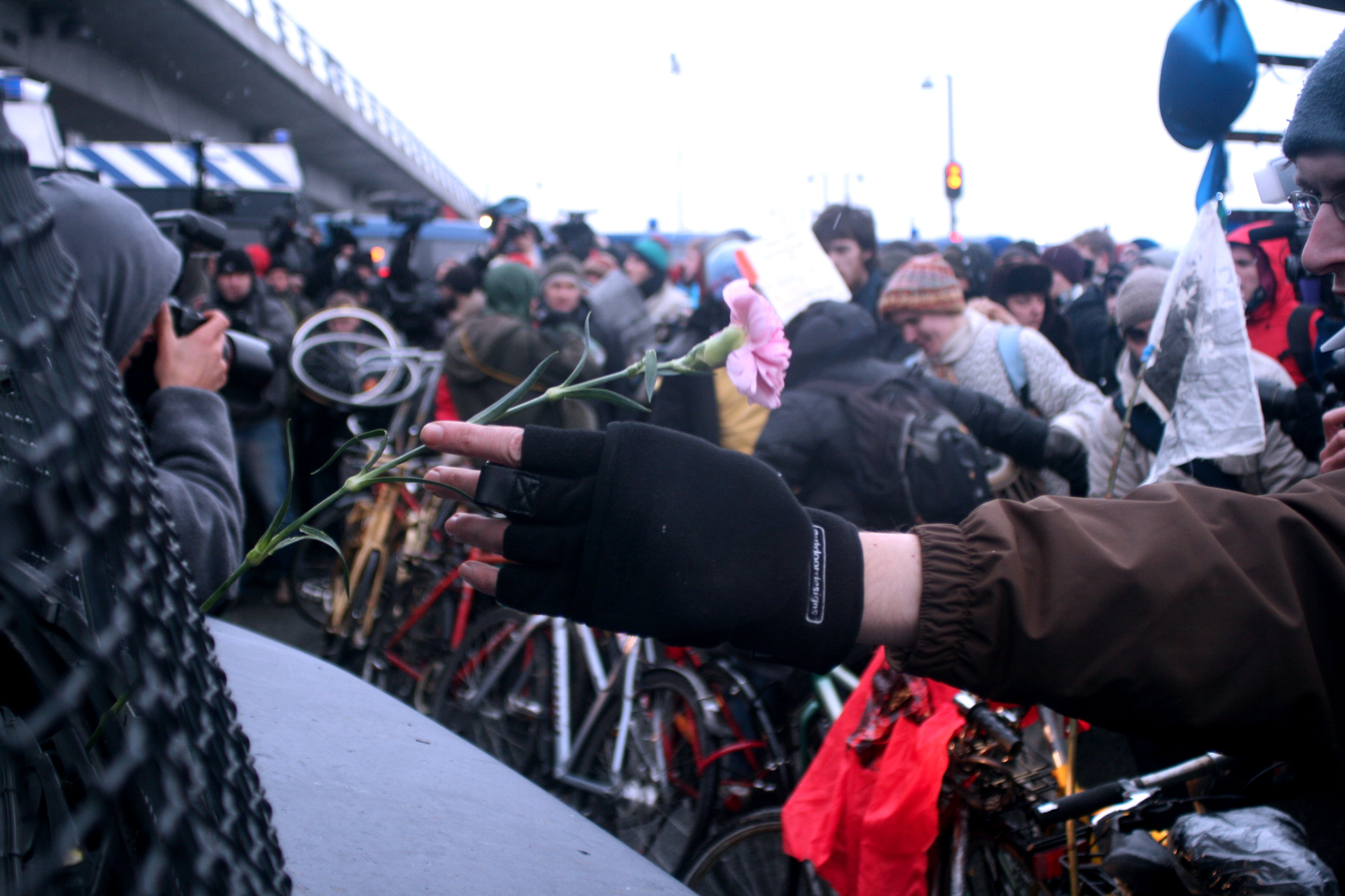 BLOMSTER TIL HOLLÆNDERE - Andre demonstranter reagerede mindre poetisk på konfrontationen med politiet. Nogle hamrede på vognsiderne med afmægtige hænder, andre sendte myndighedernes biler en spytklat. Universitetsavisen så dog ingen demonstranter slå på mennesker ved Bella Center i dag.