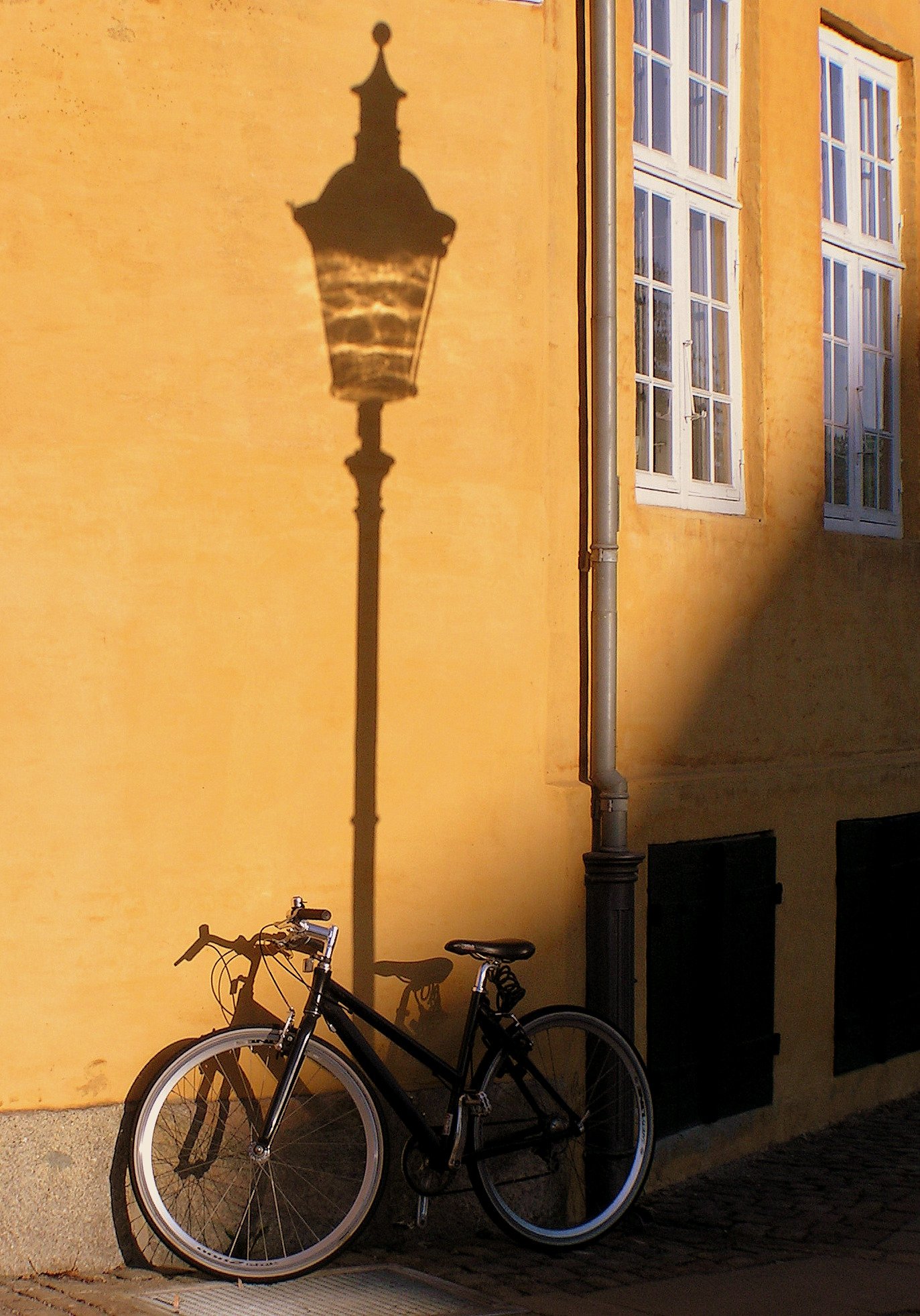 The winning shot. A bike and a shadow by Parvel Lukes from Czech Republic.