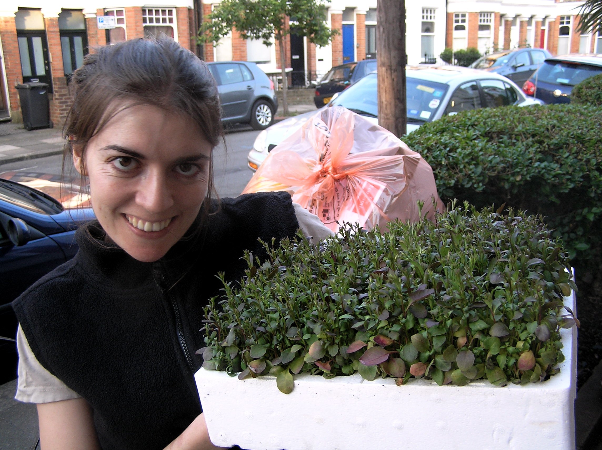 Carina calls herself a 'guerilla gardener'.  Guerilla gardening is a form of direct action, where activists take over  an abandoned piece of land which they do not own to grow crops or plants