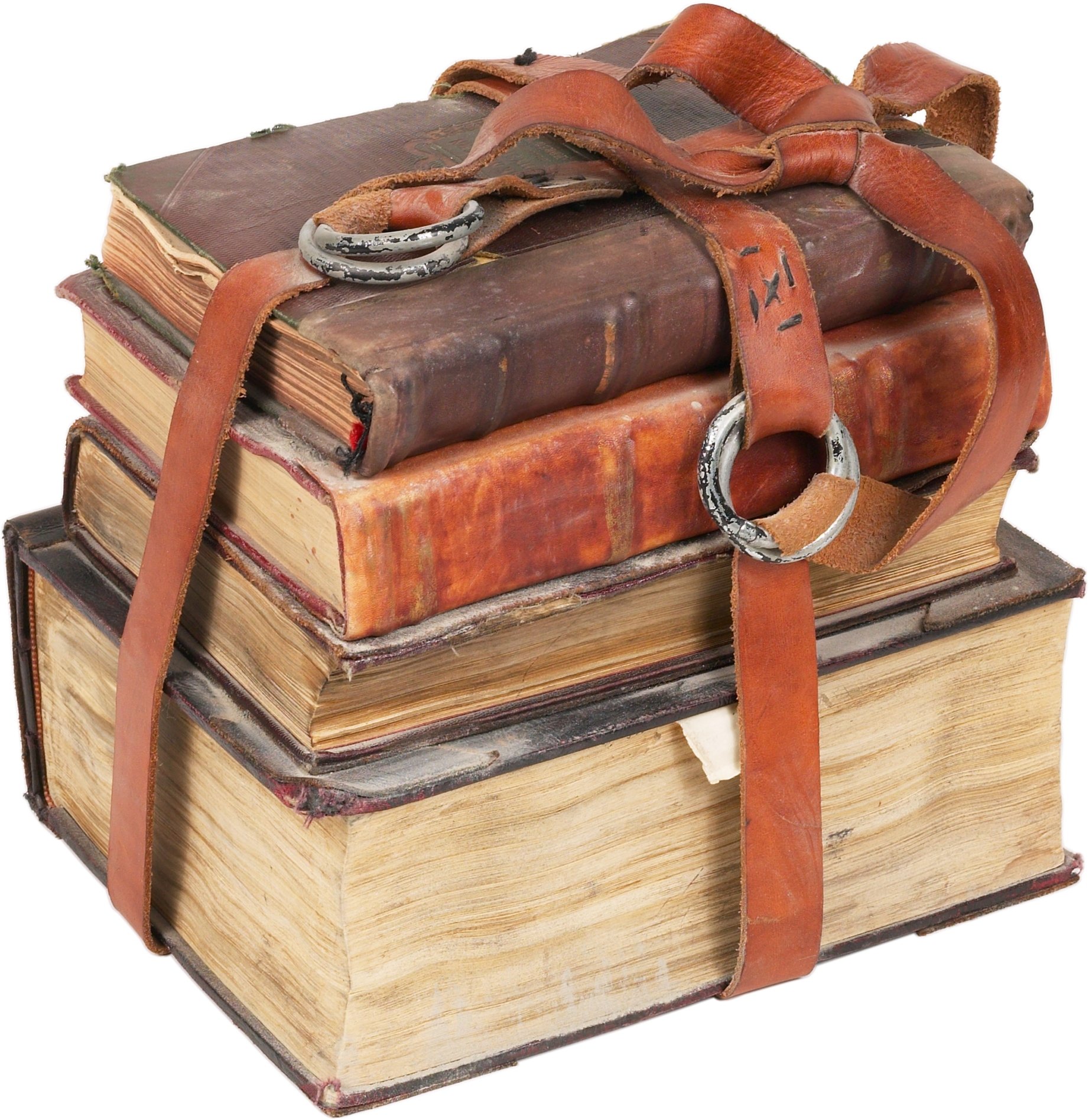 LÆSEHESTEKLUB - Alumneforeningen har åbnet en litterær salon.