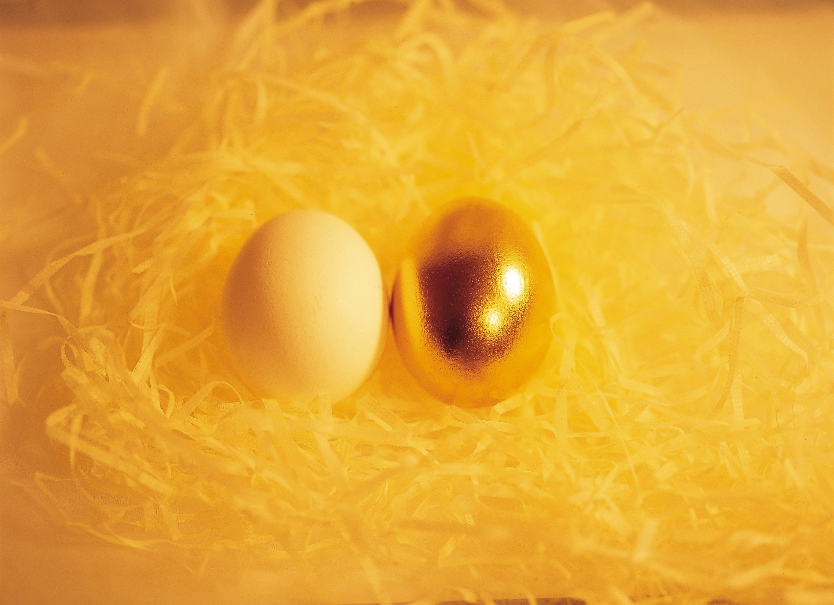 PRIORITERING - Det er uholdbart at store summer går til specifik forskning, mens universitetets uddannelser bløder, mener Studenterrådet