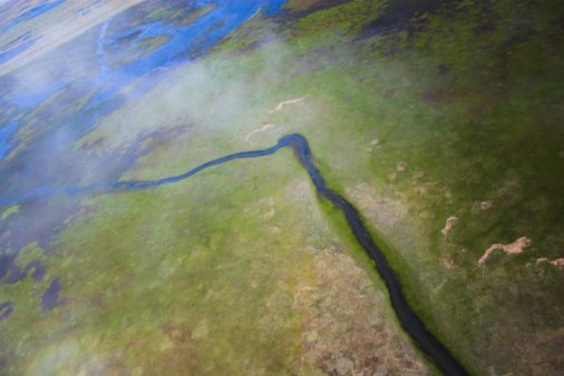 Pretty, but no (voluntary) laughing matter.