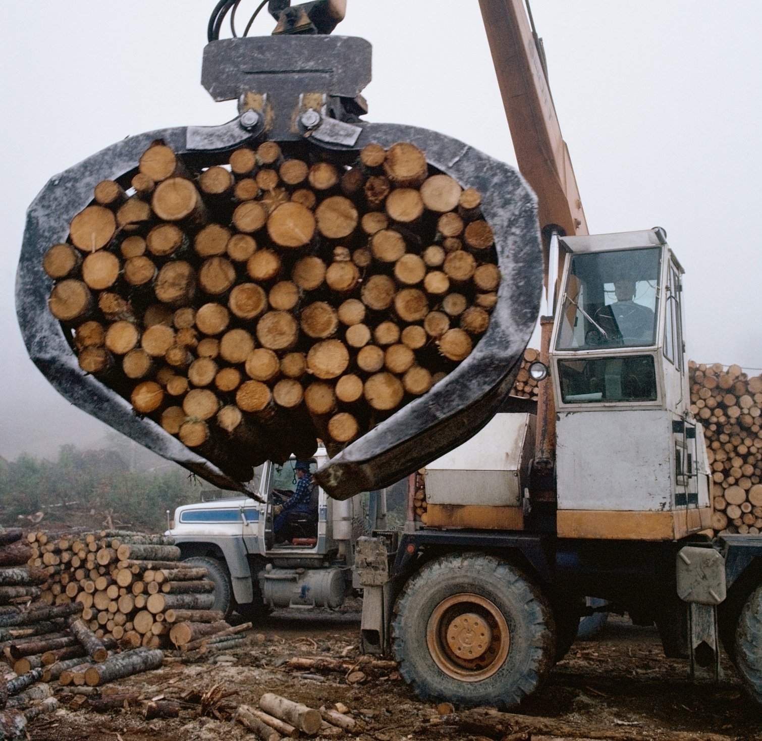 Deforestation and climate change threaten Kenya's Mau forest