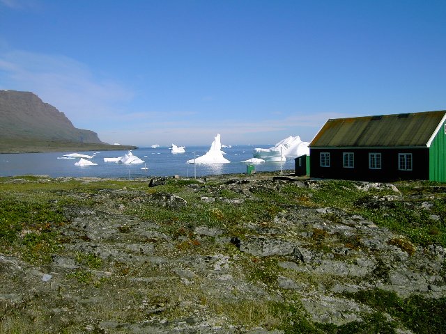 This summer, five overseas students will visit the northernmost outpost of the University of Copenhagen, the Arctic Station in Qeqertarsuaq, Greenland