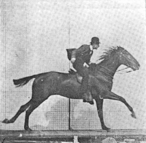 One of a series of photos of race horse 'Daisy' by pioneer Eadweard Muybridge published in 1887.