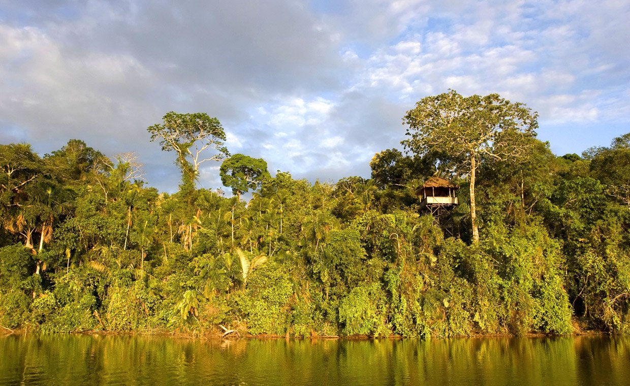 Regnskoven i Amazonas kan svinde 40 procent som følge af klimaændringer, der flytter på nedbørmængderne, ifølge to anerkendte klimaforskere