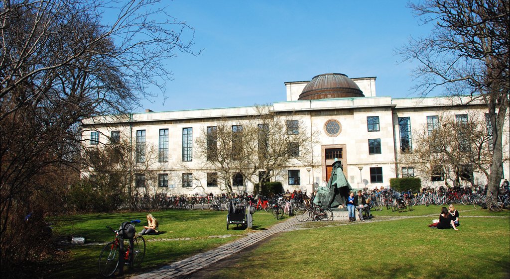 The grass in front of Campus North seems more attractive when the flowers are in bloom