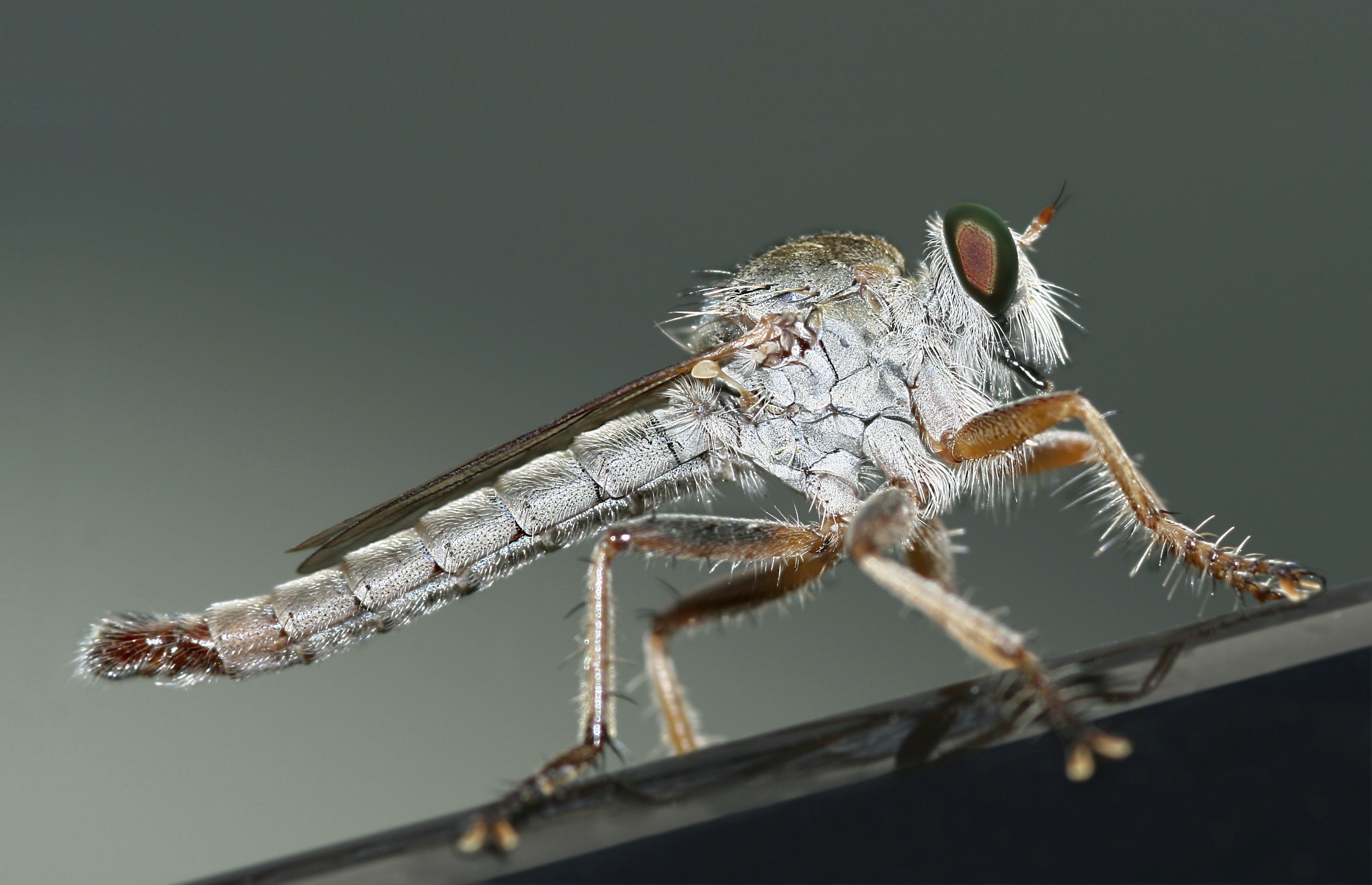 A cure for male pattern baldness is a potential goldmine for drug companies. A new malaria medicine is not. We need to change the incentives, says Thomas Pogge