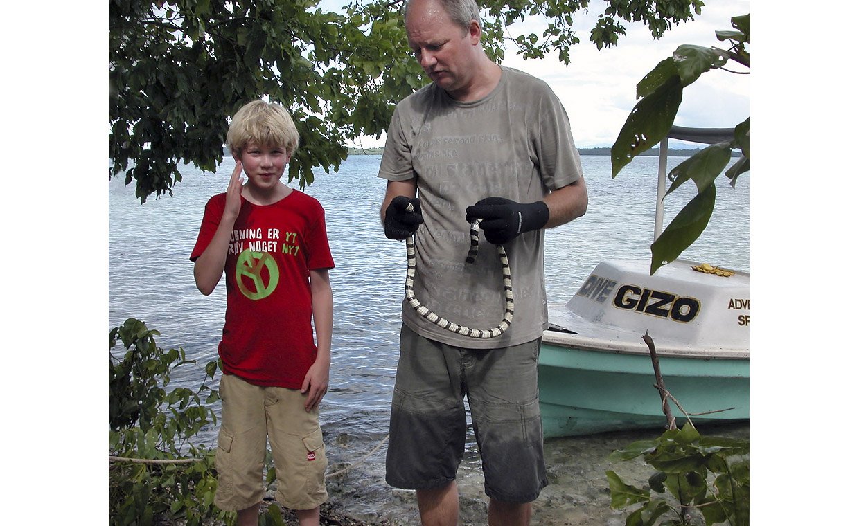FRISK FRA GIZO - Arne Redsted Rasmussen sammen med sin ene søn Lasse, der på det tidspunkt var 12 år, og en farlig havslange, den gullæbede havkrait, der er giftig og kan få sin hale til at ligne sit hovede. Arne Redsted Rasmussen fandt havslangen på billedet tæt ved øen Gizo, Salomonøerne øst for Papua Ny Guinea. 