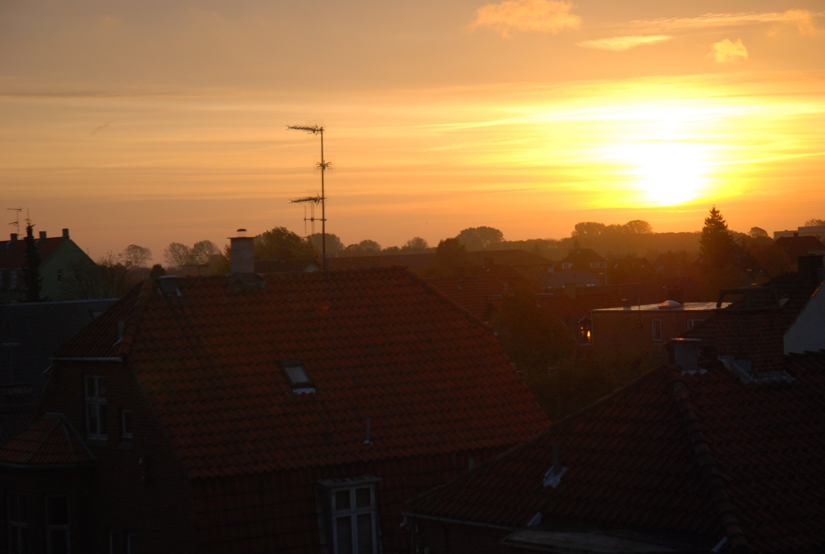 MORGENSOL - Sådan ser solen ud over Amager, hvor også arbejdsløse står tidligt op.