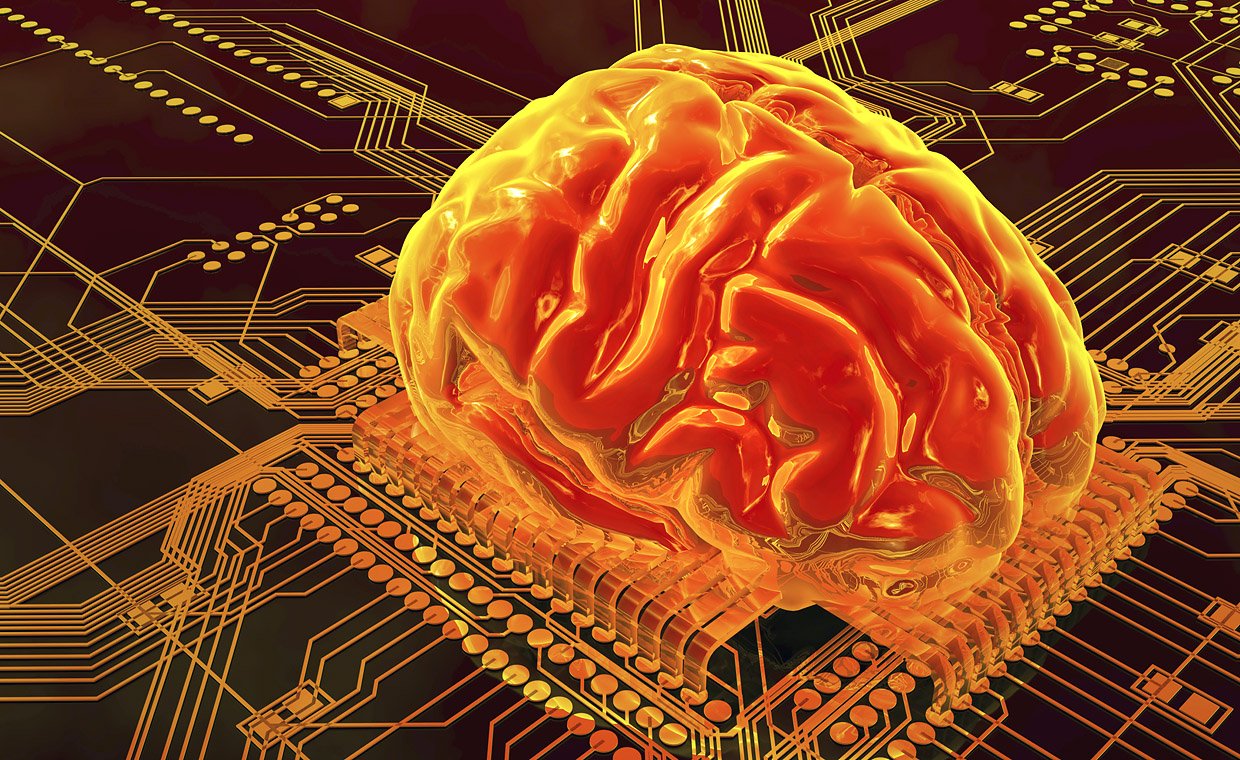 KU´s ny it-system STADS skal virke som motherboardet for alt fremtidigt arbejde med den digitaliserede undervisning, forskning og administration på Københavns Universitet