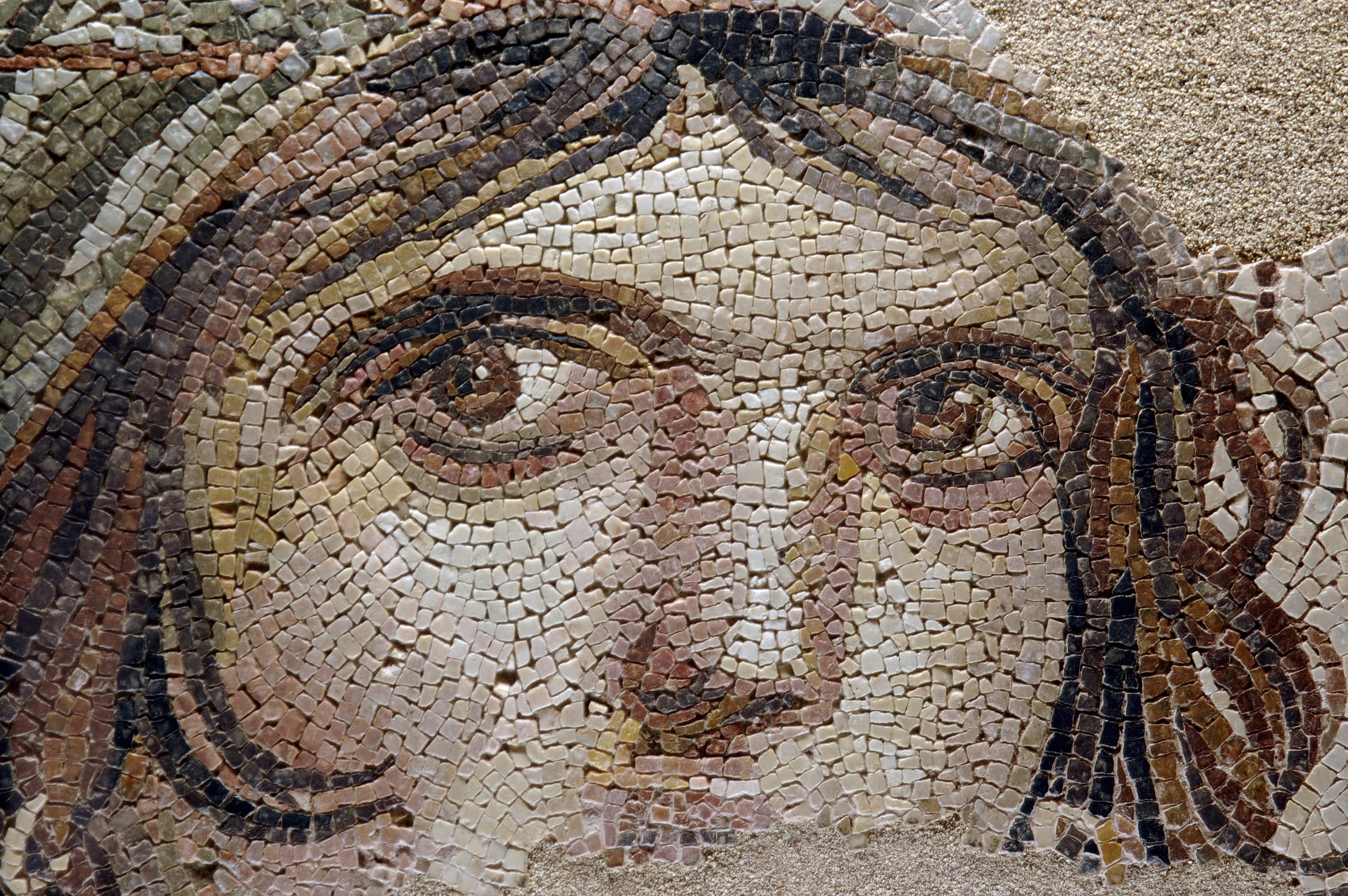 'Minor' languages, such as Greek and Latin, may face more relaxed standards in their programs' curricula.