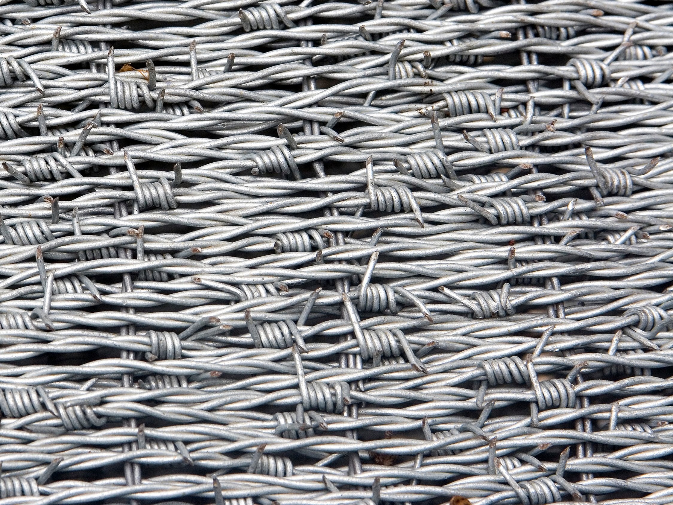 IND PÅ LINJE - En frygt for tab af velstand har ført til afvikling af den demokratiske kultur og indførelse af autoritær kontrol på universiteterne, skriver debattøren. 