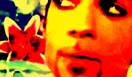 OVERSKUD - Prince formår at gøre kur til en hånddukke, så redaktionen svømmer hen.