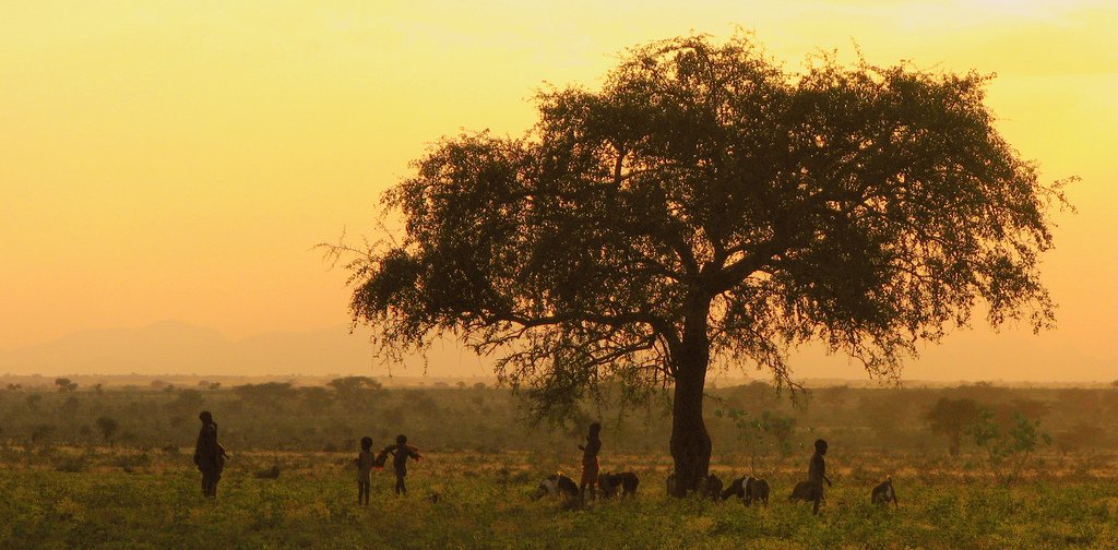 The Karamajong, an indigenous tribe in North-eastern Uganda, must adapt to the effects of climate change like many others in developing countries