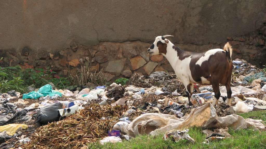 The Sustainability Lectures 2011 series will address sustainability issues in developed and developing countries