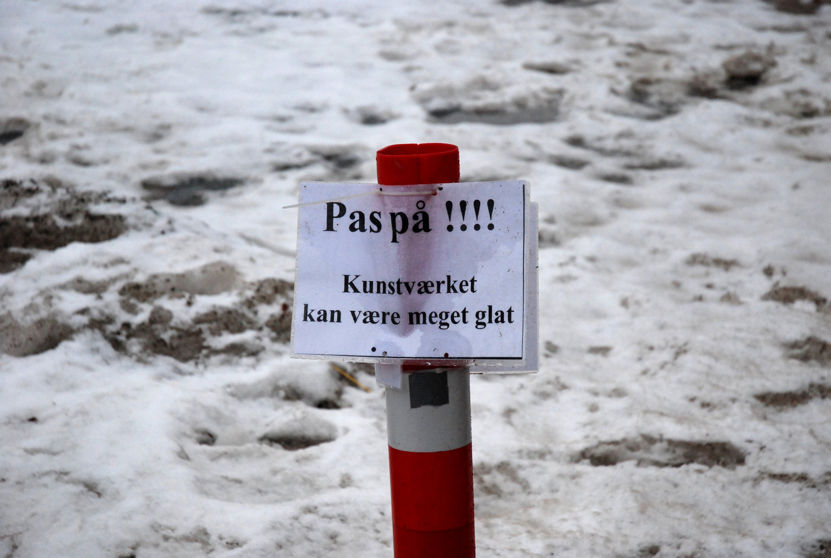 KUNSTSJUSK - Frederiksberg Campus er næsten helt sikkert Københavns Universitets smukkeste område. Her er fredede parkanlæg med snurrige stier og så mange ærværdige, gamle bygninger at traske omkring og betragte, at man næsten falder over sig selv. Hvis ikke man nøjes med bare at falde over den kunstfærdige brolægning.