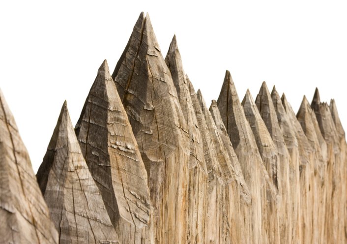 BLIV UDE - Det er ikke en enkel sag at få ophold på Danmarks 43.000 kvadratkilometer. Heller ikke, hvis man er håndplukket forskerspire med en ph.d.-plads på Københavns Universitet.