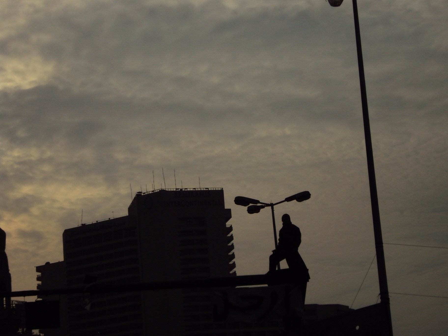 A protester on a Cairo rooftop