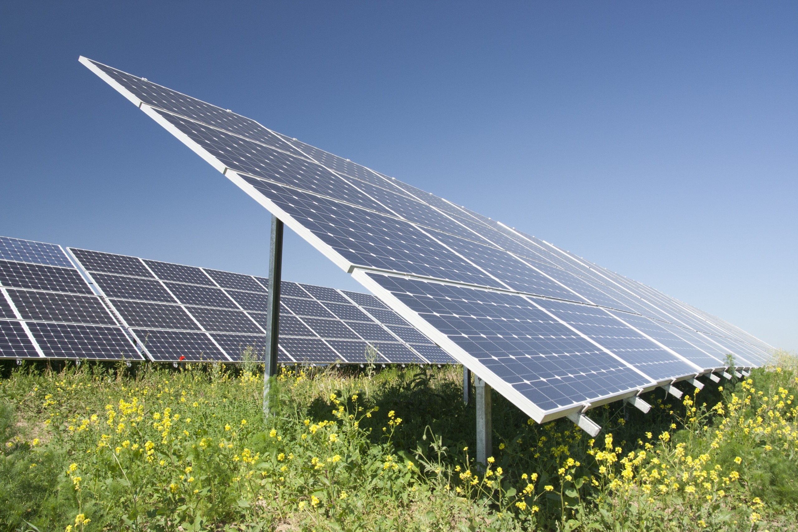 University of Copenhagen students are to compete with students from other universities about sustainability