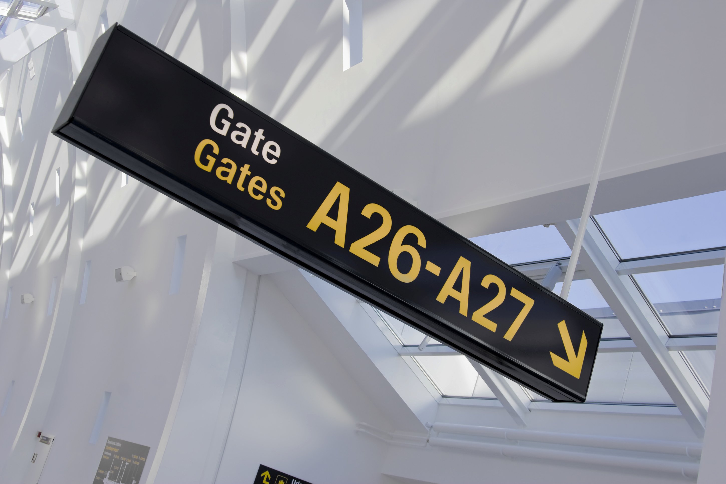 Both incoming and outgoing Erasmus student numbers are on the rise in Denmark