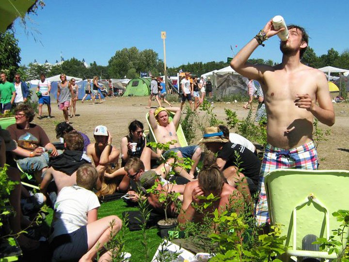 GRØNNE FINGRE - KU's Have- og parkingeniøreres have på Roskilde Festival er et stort tilløbsstykke og et godt sted at tage en pause fra Roskilde-rusen. 