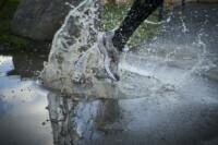 The most important thing is the amount of training done at maximum speed, say scientists