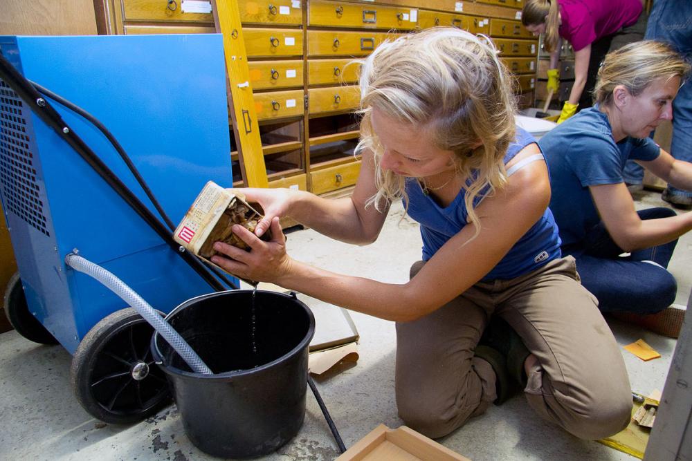 Members of staff at the Geological Museum emptying water out of the mineral and fossil collections