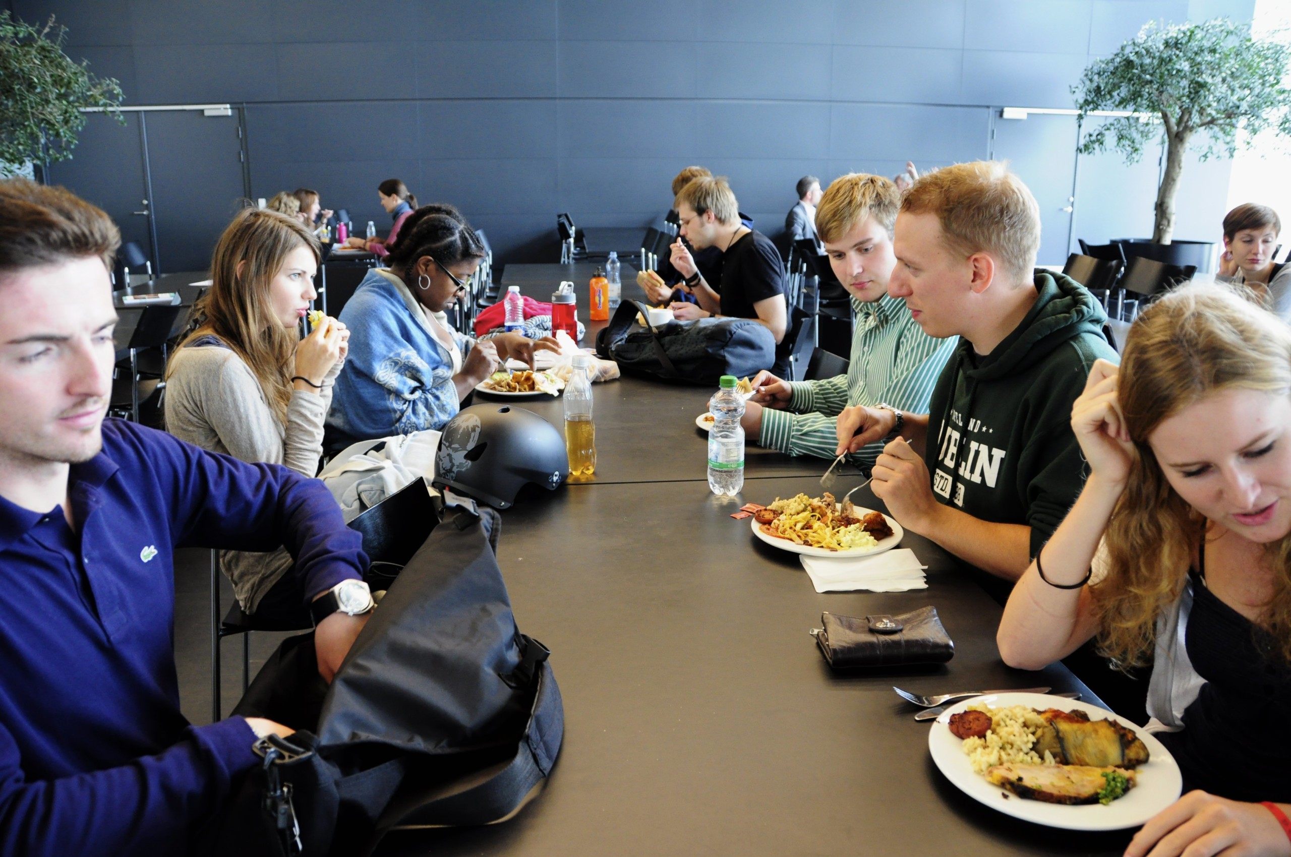 New international students taking lunch between Danish courses in August 2011. If the Danish business lobby group DE could have its way, this course would be more comprehensive