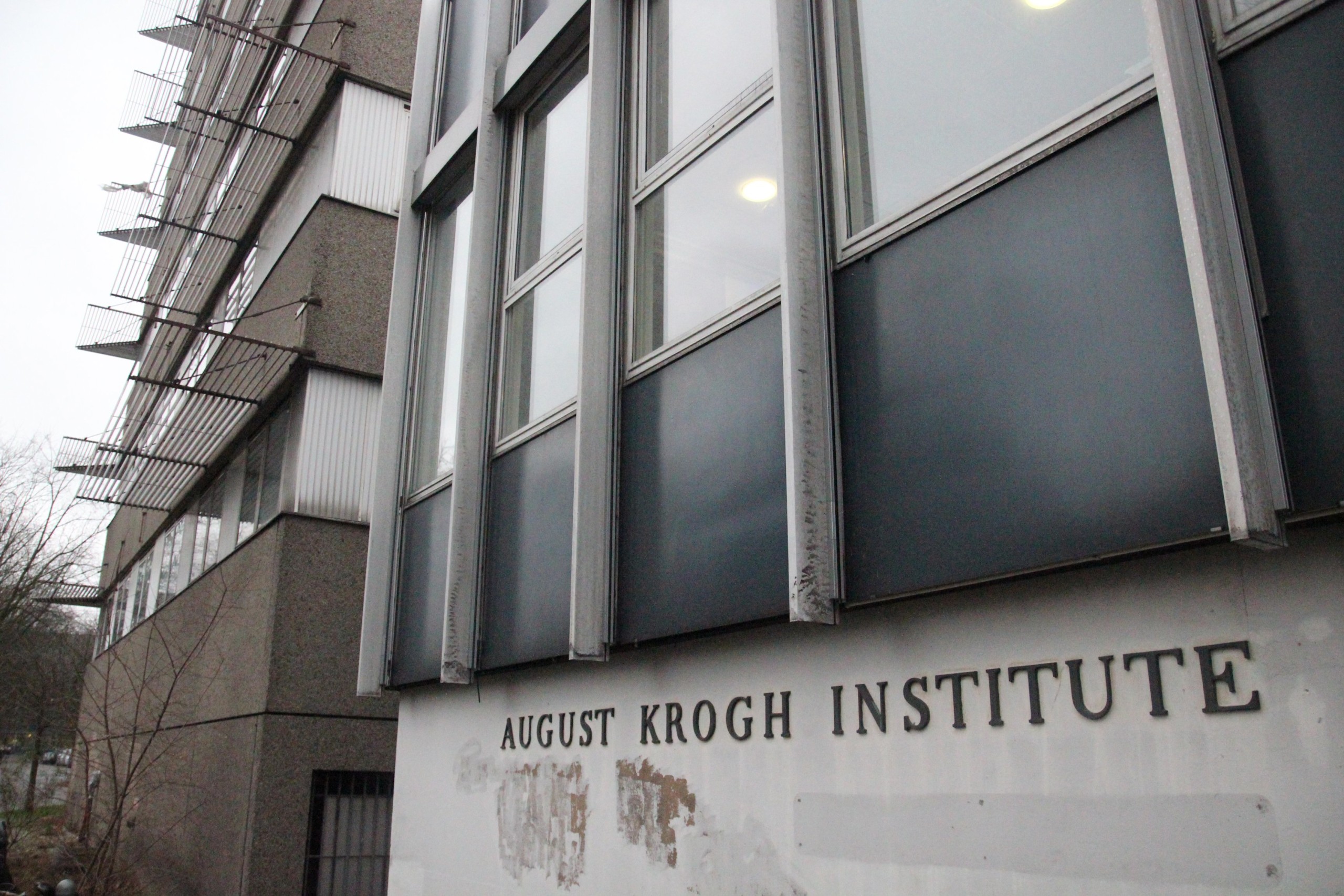 Drugs found at Science faculty turned out to be something else