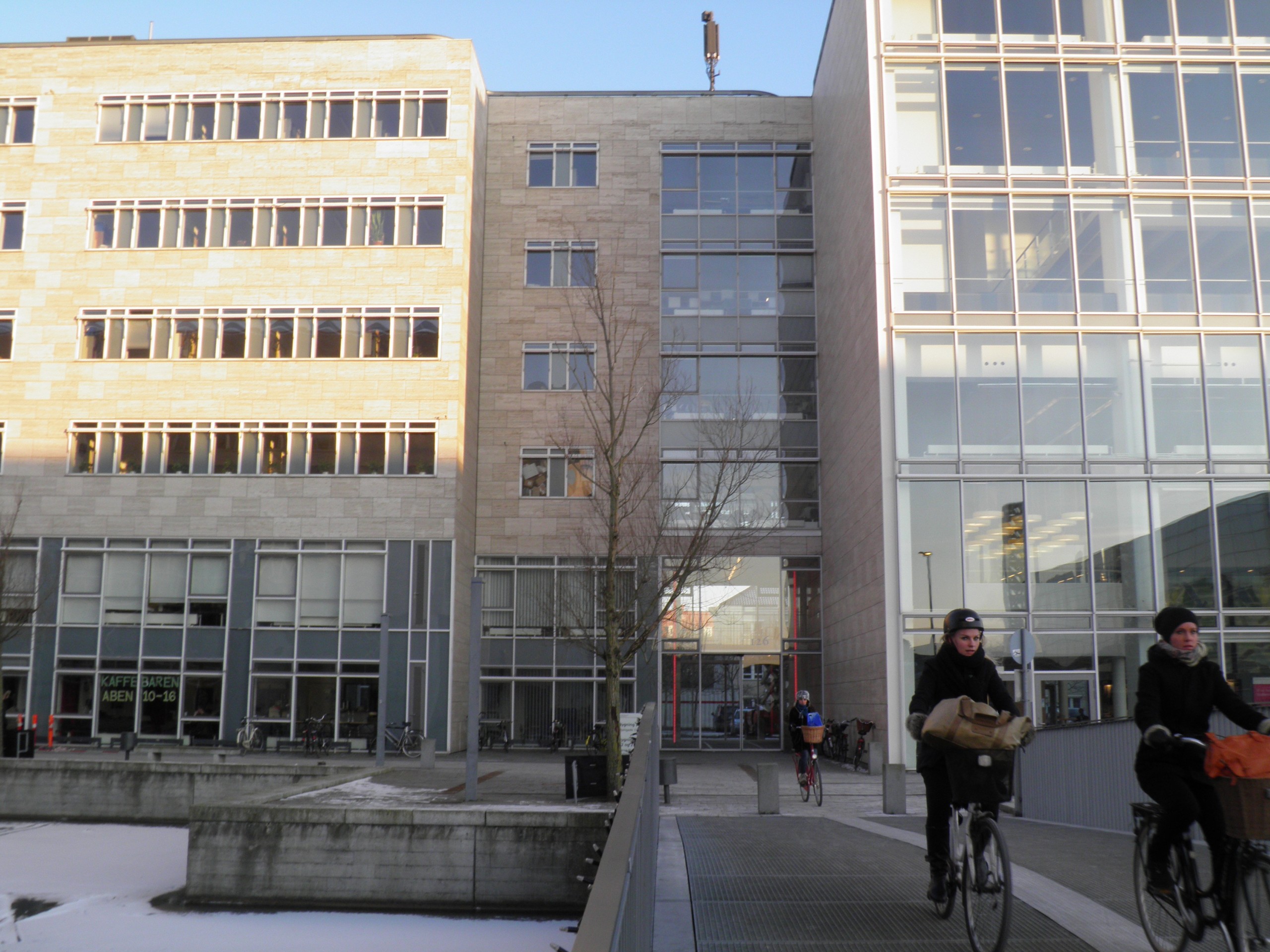 Smartness and innovation can only get you so far, argues top Danish researcher / author