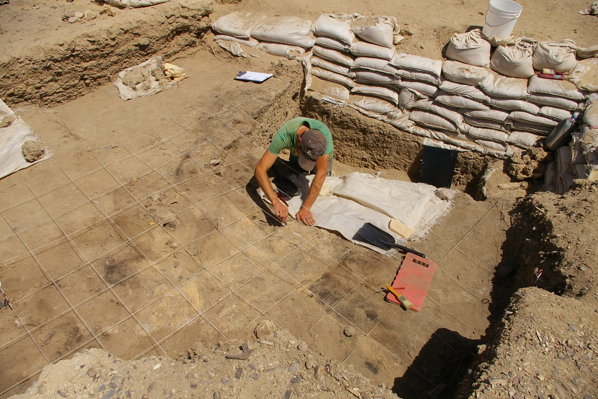 Researcher meticulously scans for signs of civilization in the Azraq basin of eastern Jordan