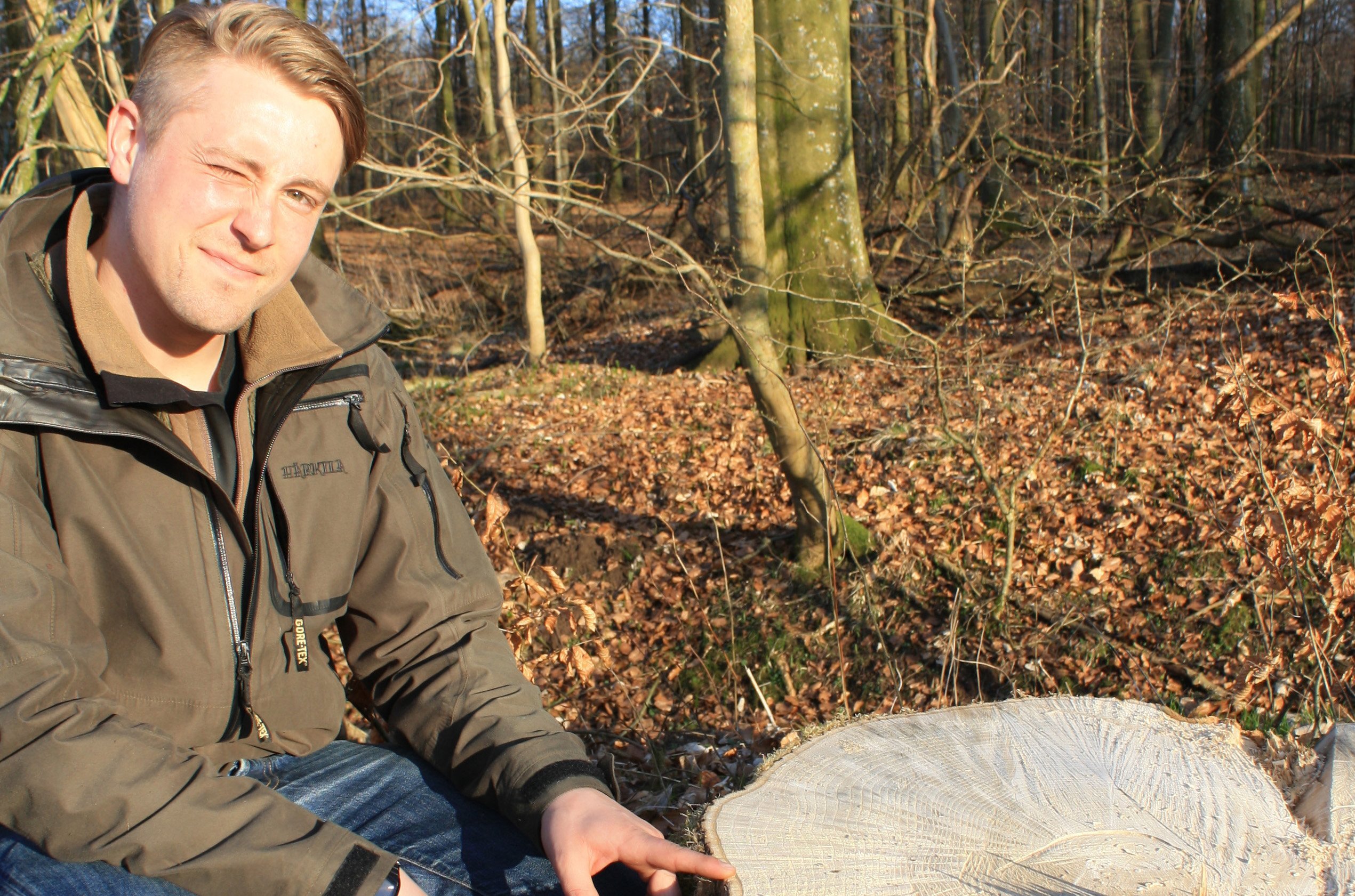 Trees are ravaged by fungus