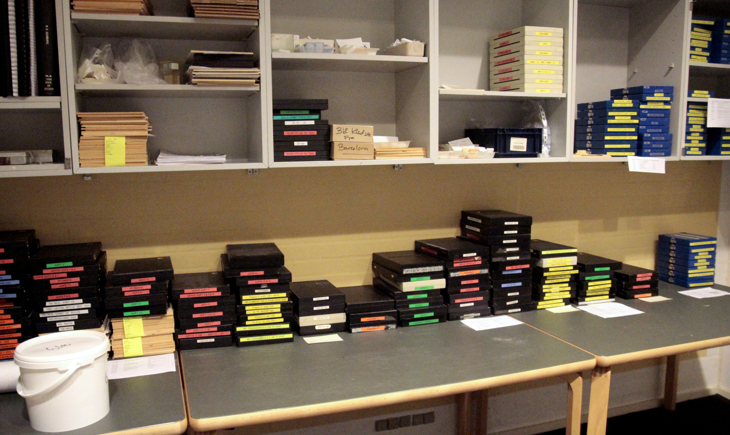 Some of the many boxes with tissue samples that an international research panel is looking at in connection with the Milena Penkowa case