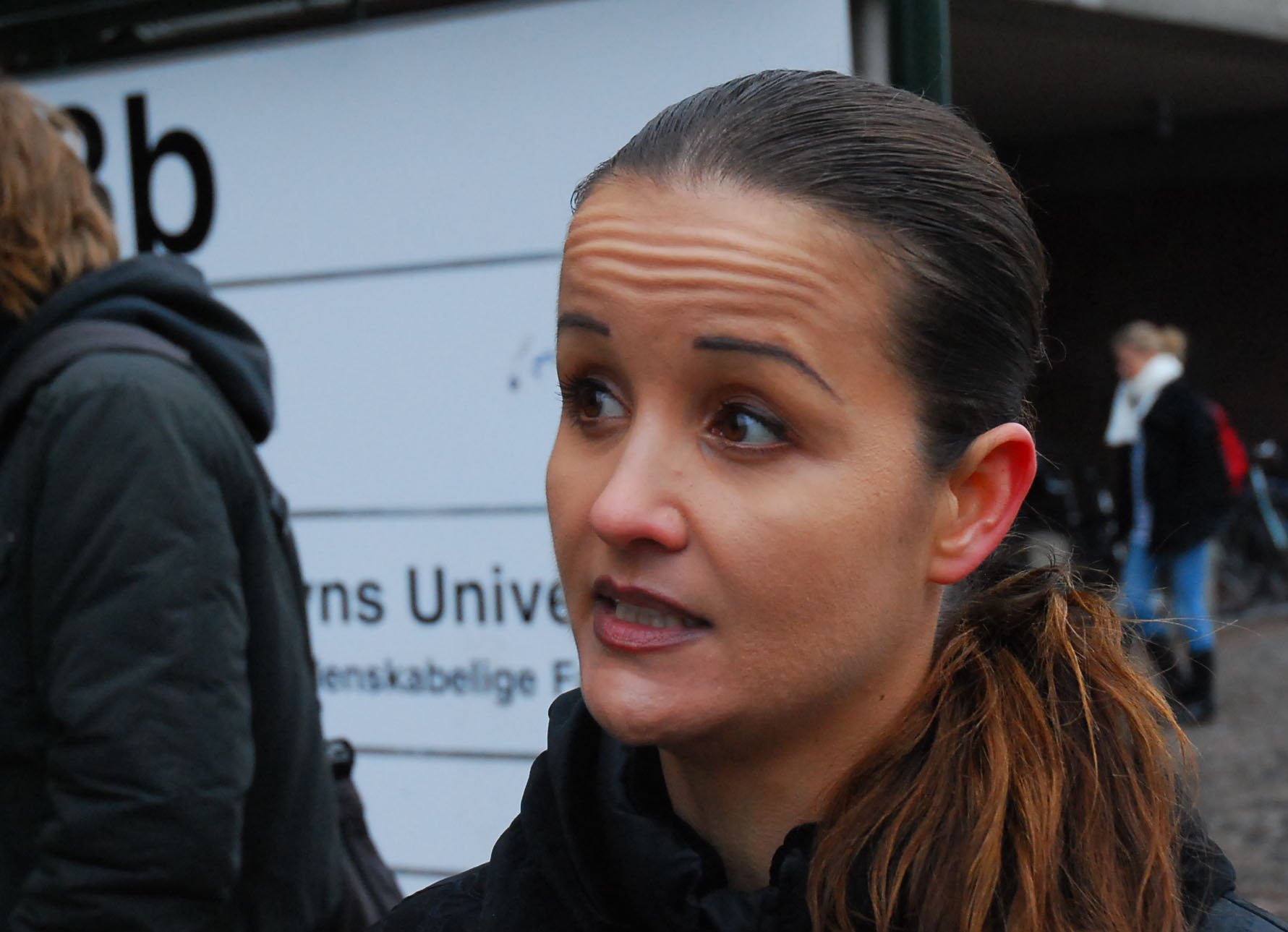No EU court would support an attempt to deprive Milena Penkowa of her degrees, she says