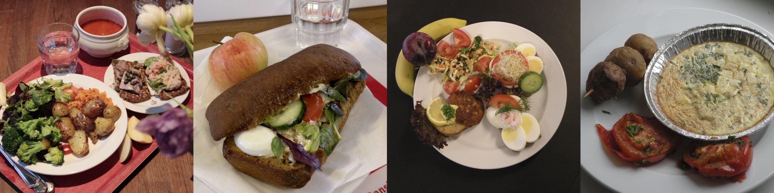 From left to right: Buffet galore at Nørregade 10, sandwich at the Faculty of Humanities, open-faced sandwich at Panum and an omelette at CSS.