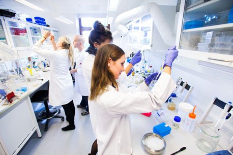 iGEM Copenhagen 2012 team hard at work